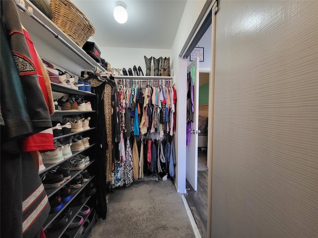 view of walk in closet