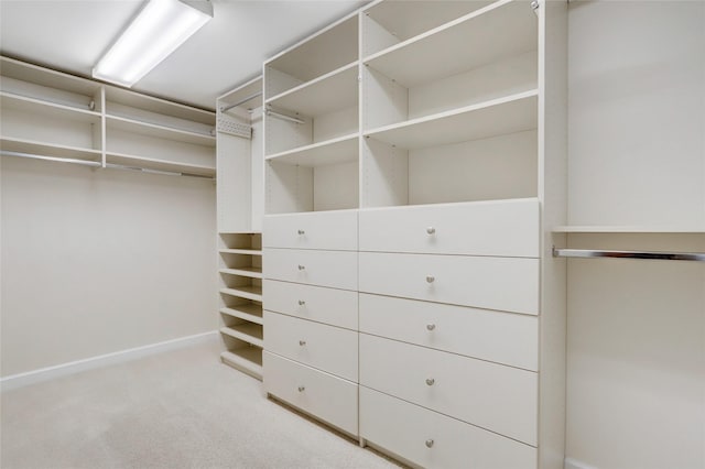 spacious closet with carpet flooring