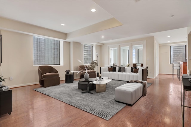 living room with wood-type flooring