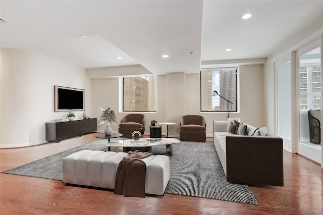 living room featuring hardwood / wood-style flooring