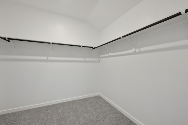 walk in closet featuring carpet floors and vaulted ceiling