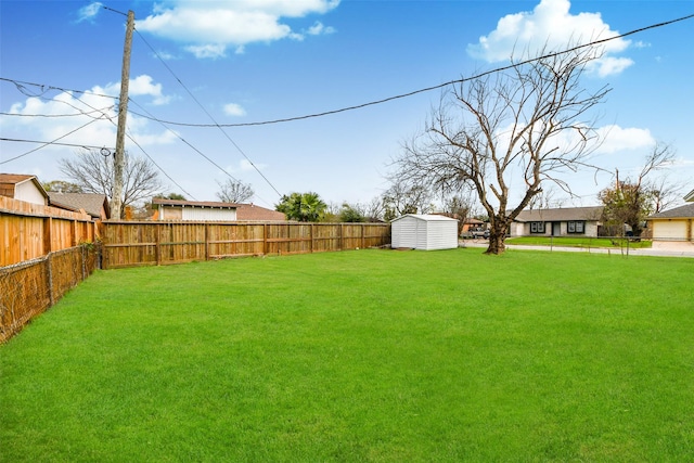 view of yard featuring a shed