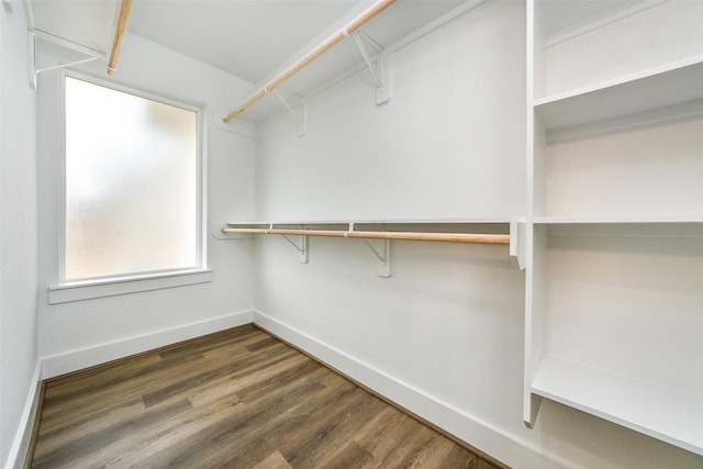 walk in closet featuring dark hardwood / wood-style floors