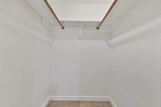 walk in closet featuring carpet flooring