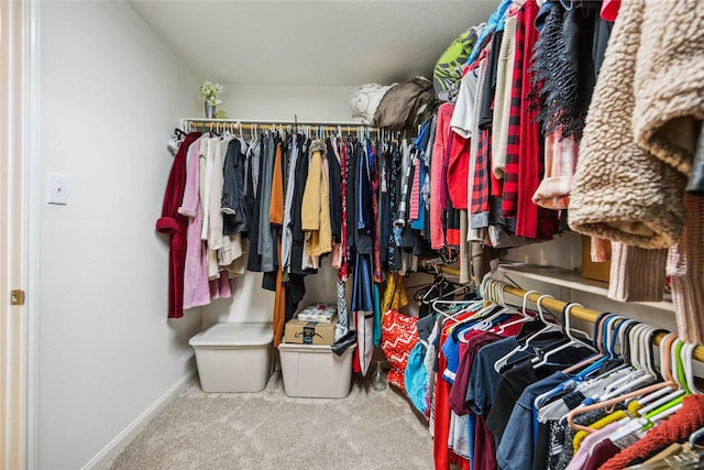 spacious closet featuring carpet