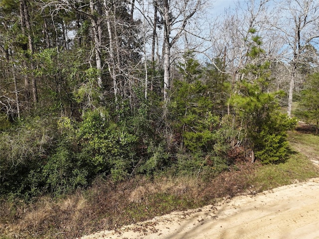 Listing photo 3 for TBD Bonnie Blue Trail, Livingston TX 77351