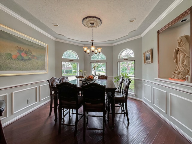 dining area featuring plenty of natural light, ornamental molding, and a textured ceiling