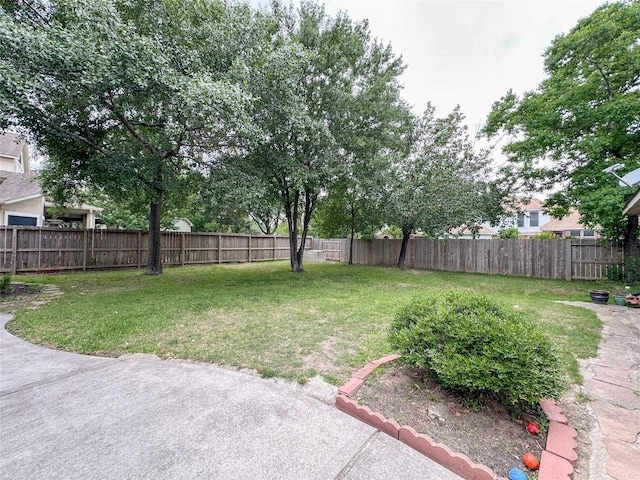 view of yard with a patio area