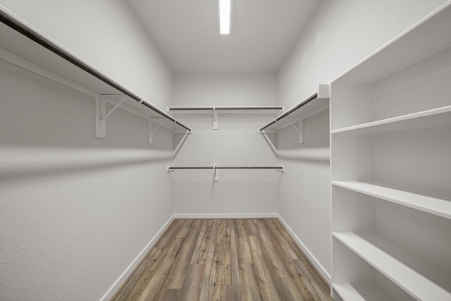 spacious closet featuring hardwood / wood-style flooring