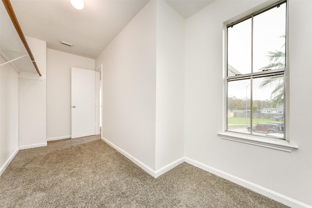 spacious closet featuring carpet floors