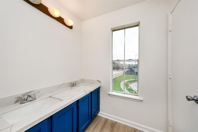 bathroom featuring hardwood / wood-style floors and vanity