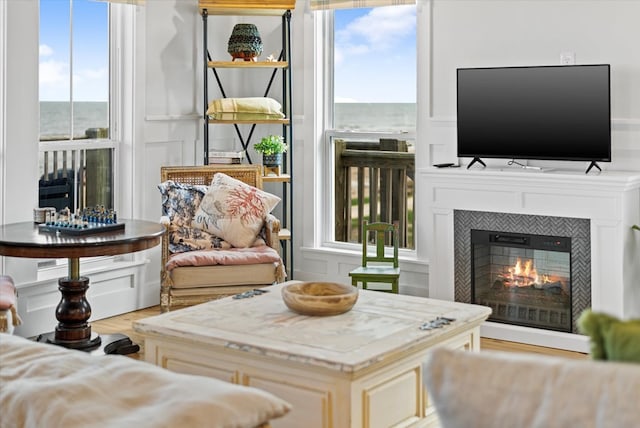 interior space with a fireplace, plenty of natural light, and light hardwood / wood-style flooring