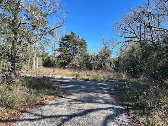 14942 Colt, Willis TX, 77378 land for sale