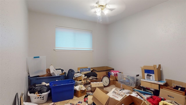 storage room featuring ceiling fan