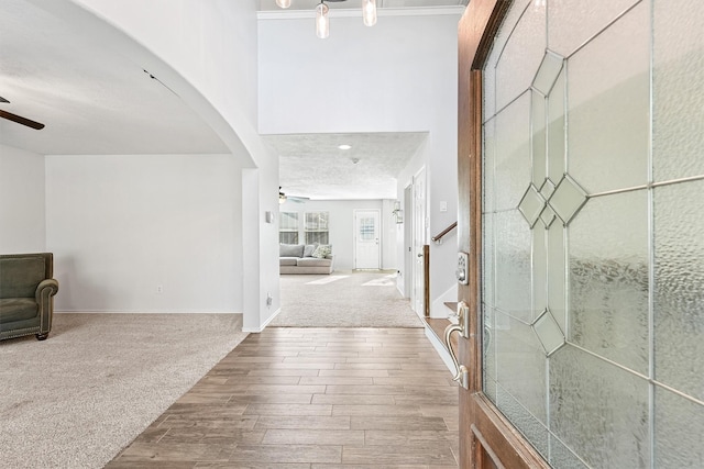 entrance foyer with carpet and ceiling fan