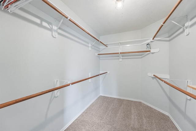 walk in closet with carpet