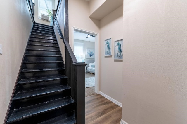 staircase featuring ceiling fan and hardwood / wood-style floors