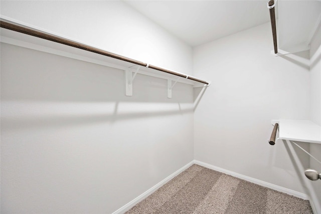 spacious closet with carpet flooring