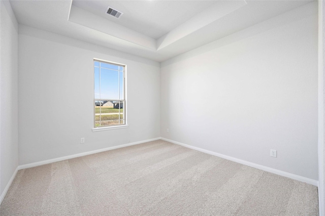 unfurnished room featuring a raised ceiling and carpet floors