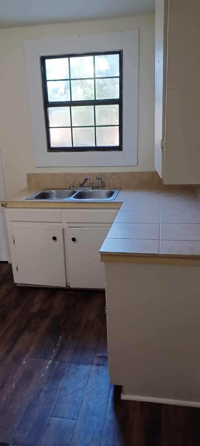 bathroom featuring wood-type flooring and sink