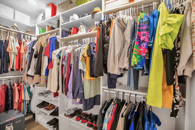 spacious closet featuring wood-type flooring