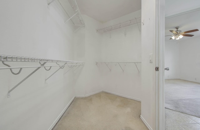 walk in closet with light colored carpet and ceiling fan