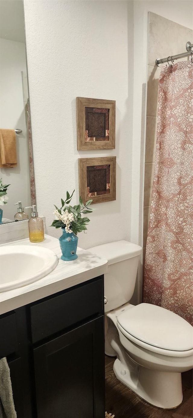 bathroom featuring vanity and toilet