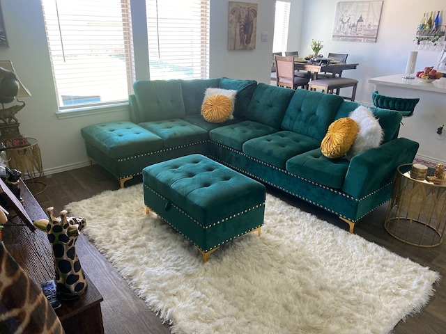 living room featuring dark wood-type flooring