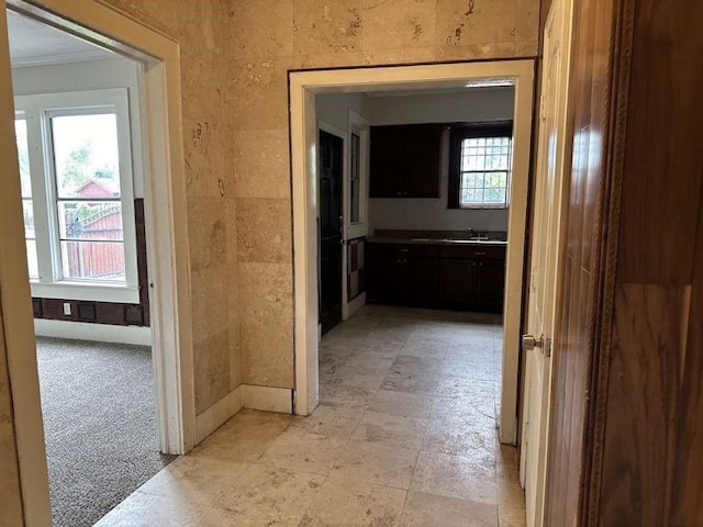 corridor with crown molding, light colored carpet, and sink