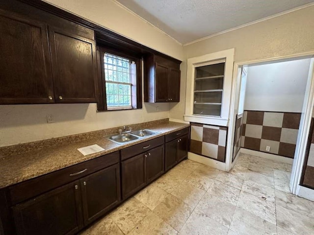 kitchen featuring dark brown cabinetry, sink, and a textured ceiling