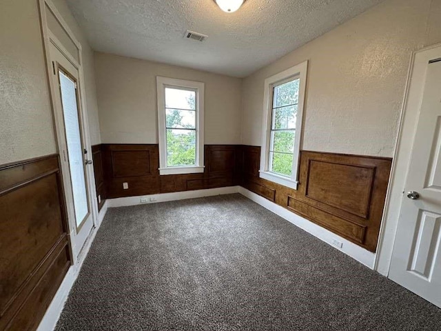 empty room featuring carpet, a textured ceiling, and plenty of natural light