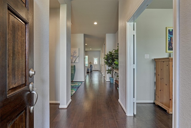 foyer entrance featuring dark wood-type flooring