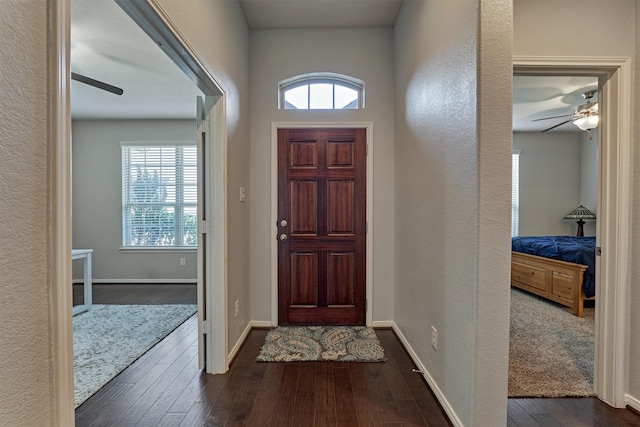 foyer featuring ceiling fan and wood-type flooring