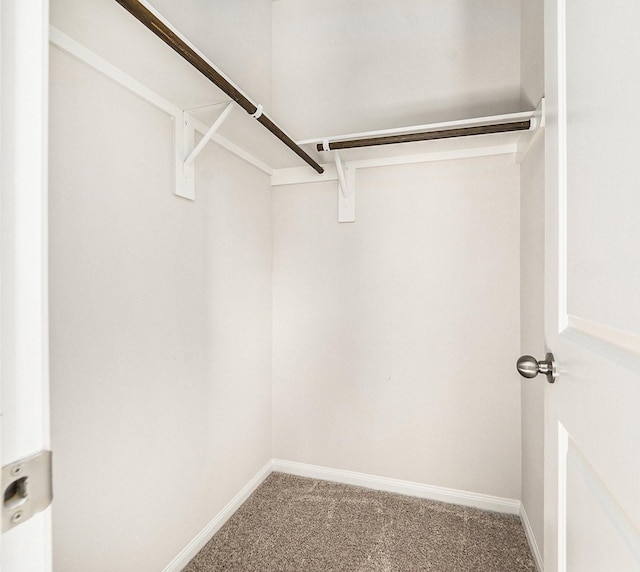 walk in closet with carpet