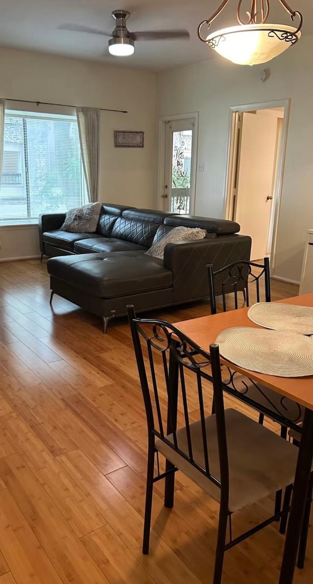 dining room featuring ceiling fan and light hardwood / wood-style floors