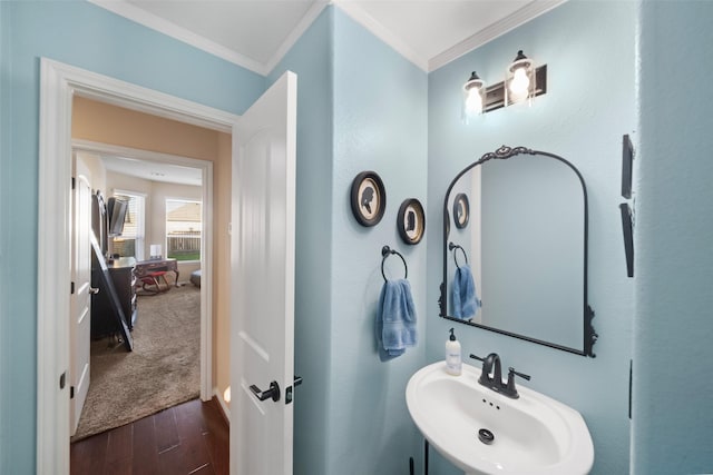 bathroom with hardwood / wood-style flooring, sink, and ornamental molding