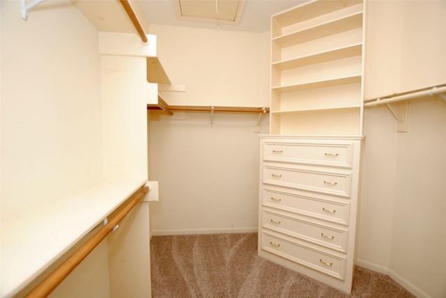 spacious closet with light carpet