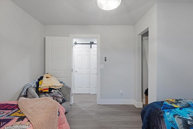 bedroom with light hardwood / wood-style flooring