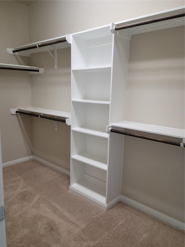 spacious closet with light carpet