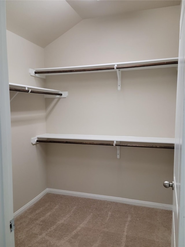 walk in closet featuring light colored carpet and lofted ceiling