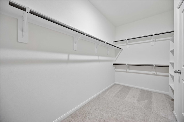 walk in closet with light carpet