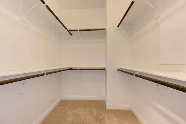 spacious closet with light carpet