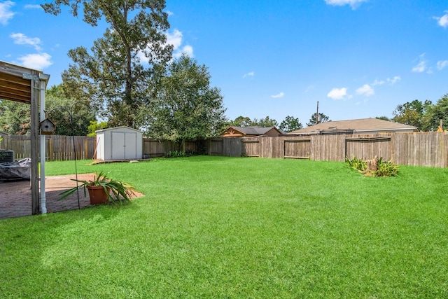 view of yard with a storage unit