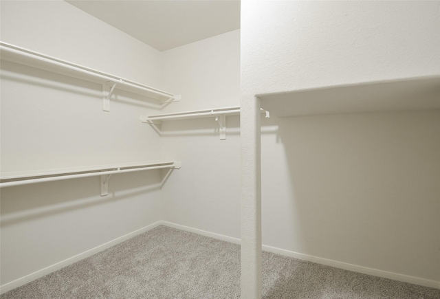 spacious closet with light carpet