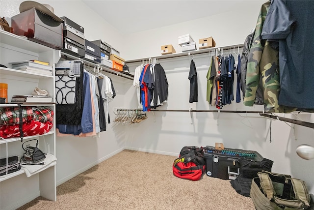 spacious closet with light colored carpet