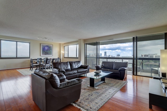 living room featuring hardwood / wood-style floors, a textured ceiling, and track lighting