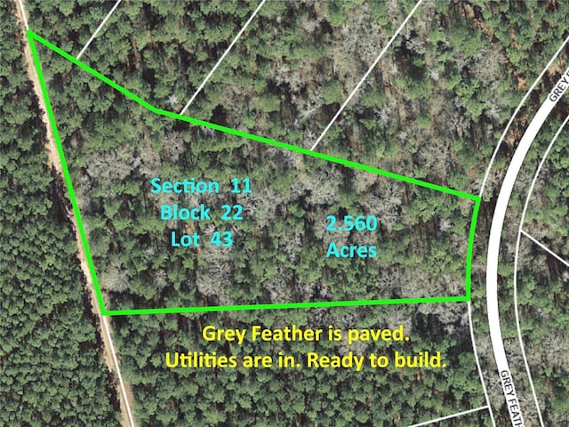 215 Grey Feather Rd, Huntsville TX, 77340 land for sale