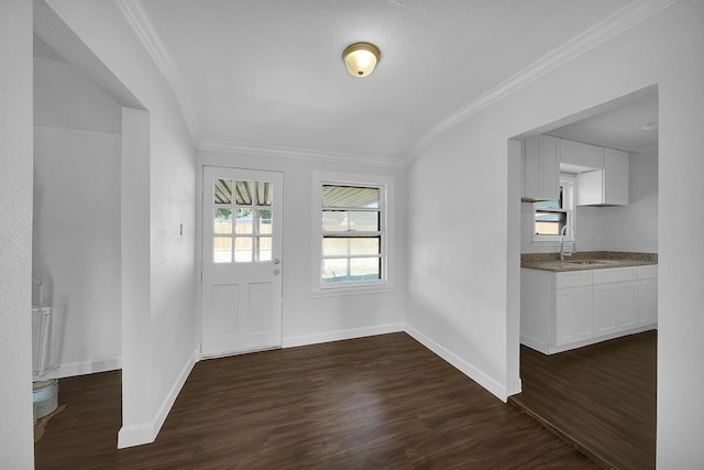 foyer featuring dark hardwood / wood-style flooring, ornamental molding, and sink