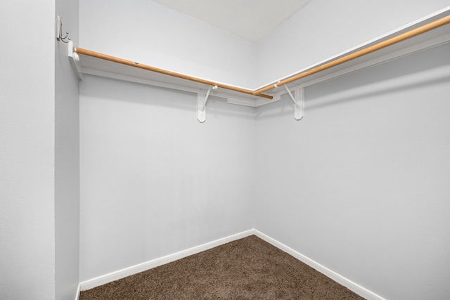 walk in closet with carpet