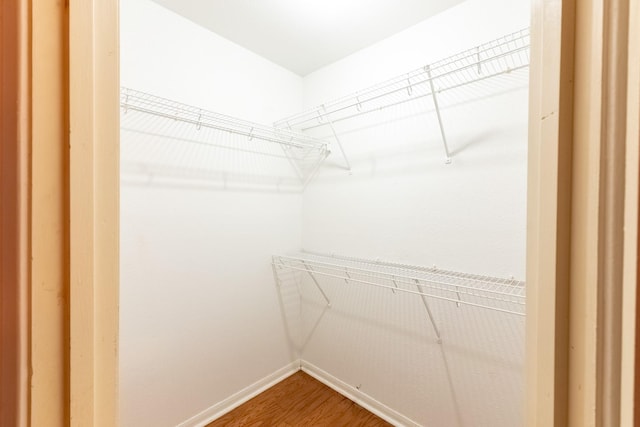 walk in closet featuring wood finished floors